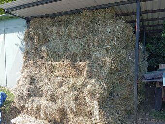 Pšenice 22e a seno 2.7 e kus - 3