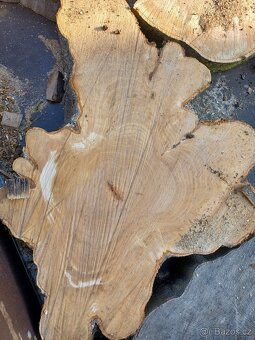 Listnaté koláče Habr Buk - 3