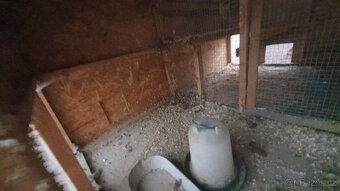 Velký kurník až pro 50 slepic - 3