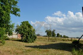 Prodej domu,  8+1 , 1417 m2, Benkov u Střelic - 3