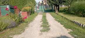 Prodej zahrádky - 3