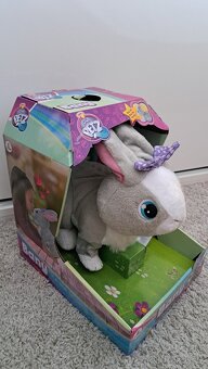 Králíček Bany – TOP STAV - 3