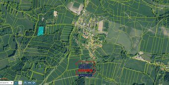 Lesní pozemky u obce Buršice, ev.č. VŠ-7628 - 3