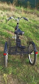 Elektrická tříkolka EASYBIKE Auriga - 3