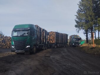 Řidič C E odvoz dříví Štětí, Lužná,Toužim,Teplá, Kraslice - 3