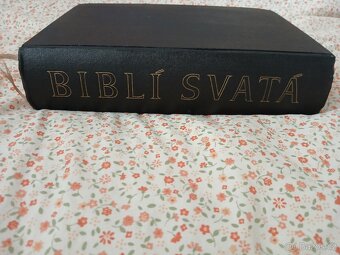 Biblí svatá (rok 1954) - 3
