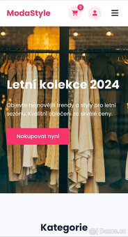 Webové stránky nebo e-shop od 600 Kč - 3