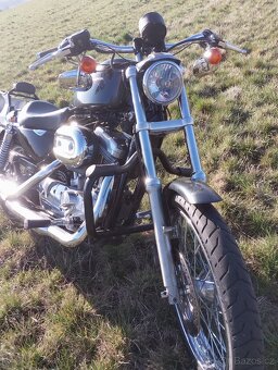 Harley Davidson sportster 883 - 3