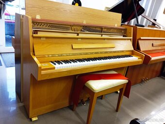 Samick 105(Jako nové)-Dovoz i na Štědrý den 24.12. - 3