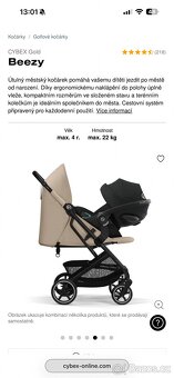 Cybex Beezy Gold - 3
