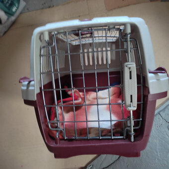 Přepravka na kočky + klece - 3