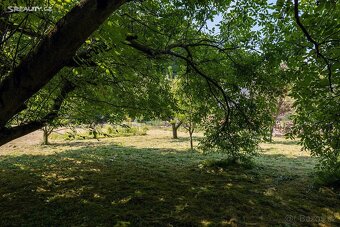 Prodej stavebního pozemku 988 m² Lesní, Chotěbuz - 3