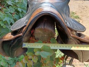 Stubben maestoso - 3