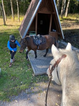 Pony, ponik, ponicka - 3