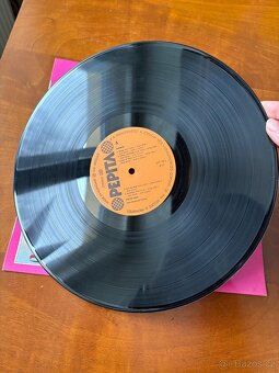 LP Newton Family Dandelion - 3