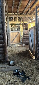 PRONÁJEM STÁJE PRO KONĚ - 3