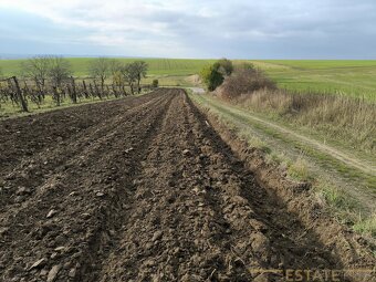 Prodej pozemků 922 m2 v k. ú. Vlkoš u Kyjova - 3