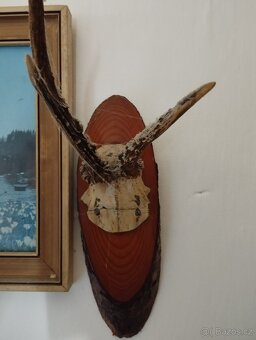 Paroží - 3