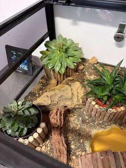 Kompletní terárium ReptiPlanet – plně vybavené - 3