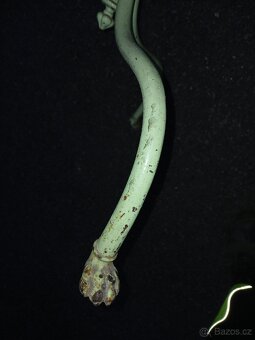 Prodám věšák,houpacího kohoutka,varnice - 3