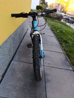 Kolo Frog SKY TEAM 20 " - 3