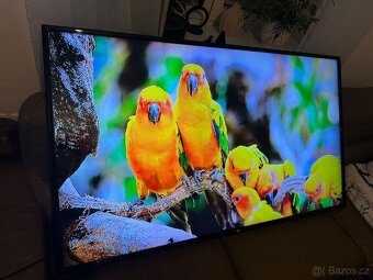 165cm LG smart TV - 3