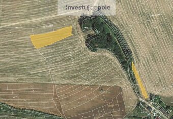 Prodej pole v k.ú. Hříchovice - 3