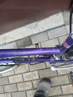 Damske kolo Author - 3