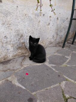 Pět čertíků z Vítkova - 3