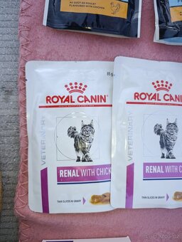 Strava pro kočičku s nemocnými ledvinami - 3