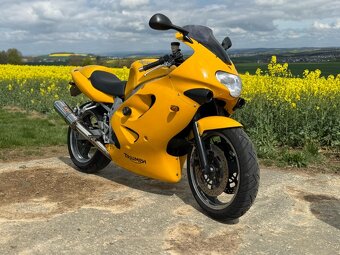 TRIUMPH TT 600 - 3
