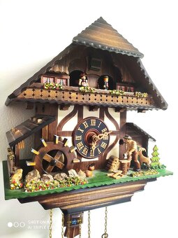 Hezke, hraci kukacky, Schwarzwald - 3