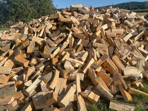 Palivové dřevo buk Prachatice - 3