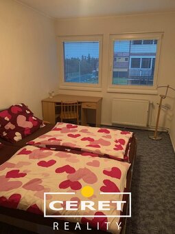 Nájem bytu 3+1 v Žatci - 3