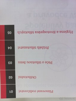 Trilogie Těhotenství, Porod a Dítě – Antonín Pařízek - 3