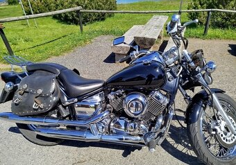 Dragstar XVS 650 Classic - 3