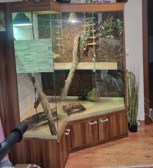 Terarium 180x160 - 3