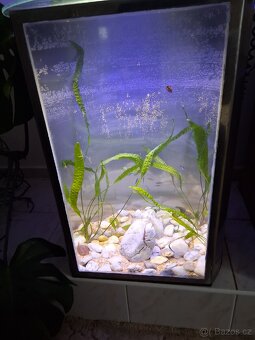 Akvarium - 3