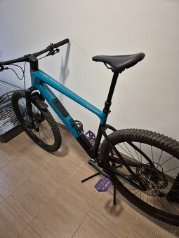 Focus Raven 8.8 - 3