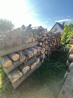 Palivové dřevo - 3