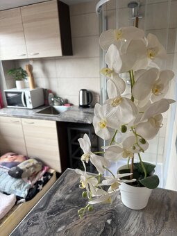 PRONAJEM MALÉHO ATELIERU 1 AZ 2 OSOBY ZDARMA - 3