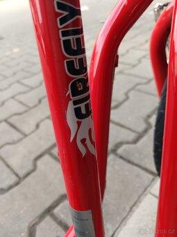 Dětská koloběžka - 3