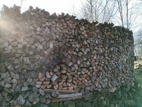 Palivové dřevo - 3