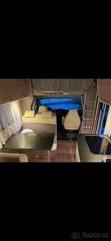 Laika etrusco (Ocean 650) - 3