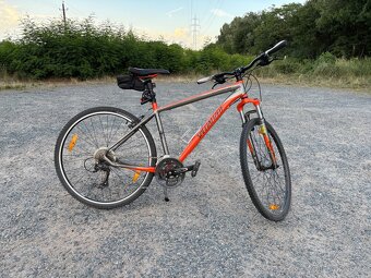 Specialized kolo velikost L - 3