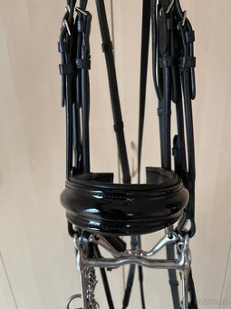 Uzda včetně udidel a otěží - 3