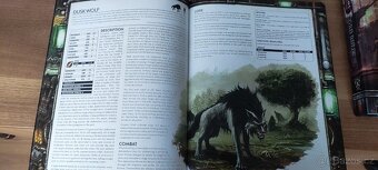 Warmachine a Iron Kingdoms pravidla stolních her - 3