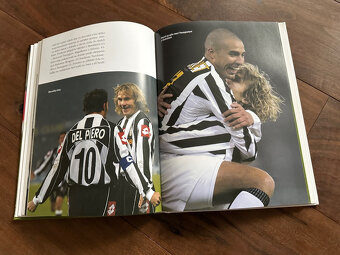 Kniha Pavel Nedvěd Český lev v Itálii - 3