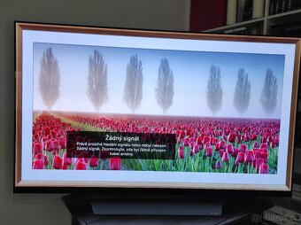 OLED televize 65" LG OLED65E8PLA - 3