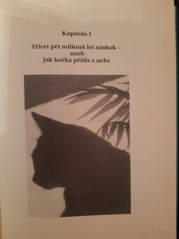 Magie koček - 3